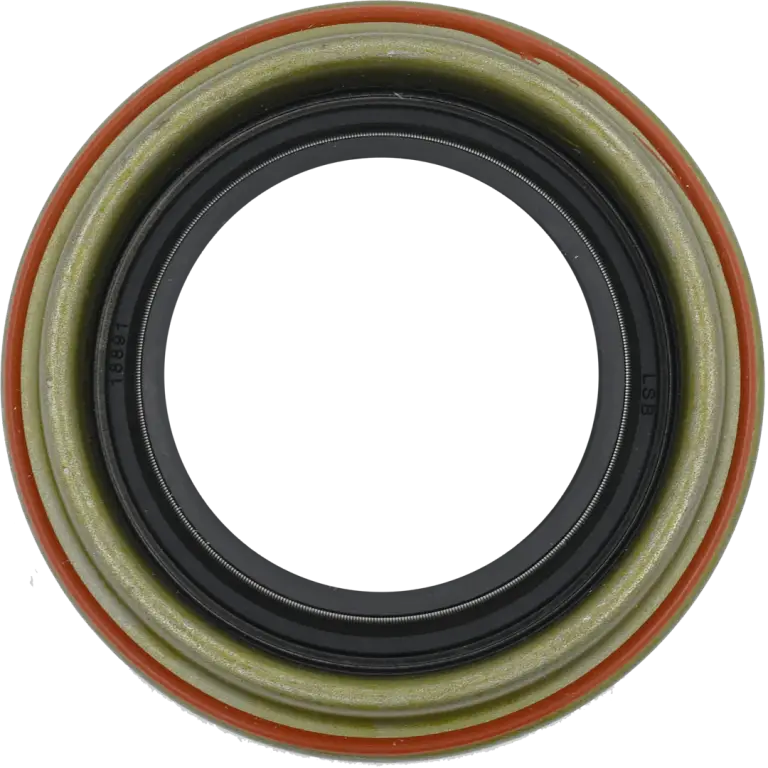 18891_LSB_3