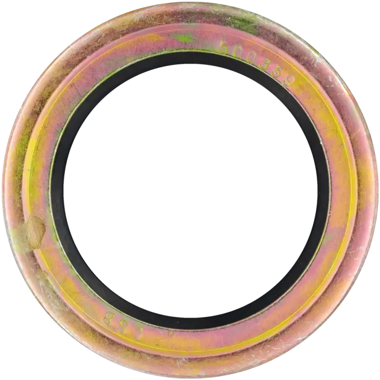 500359_LSB_1