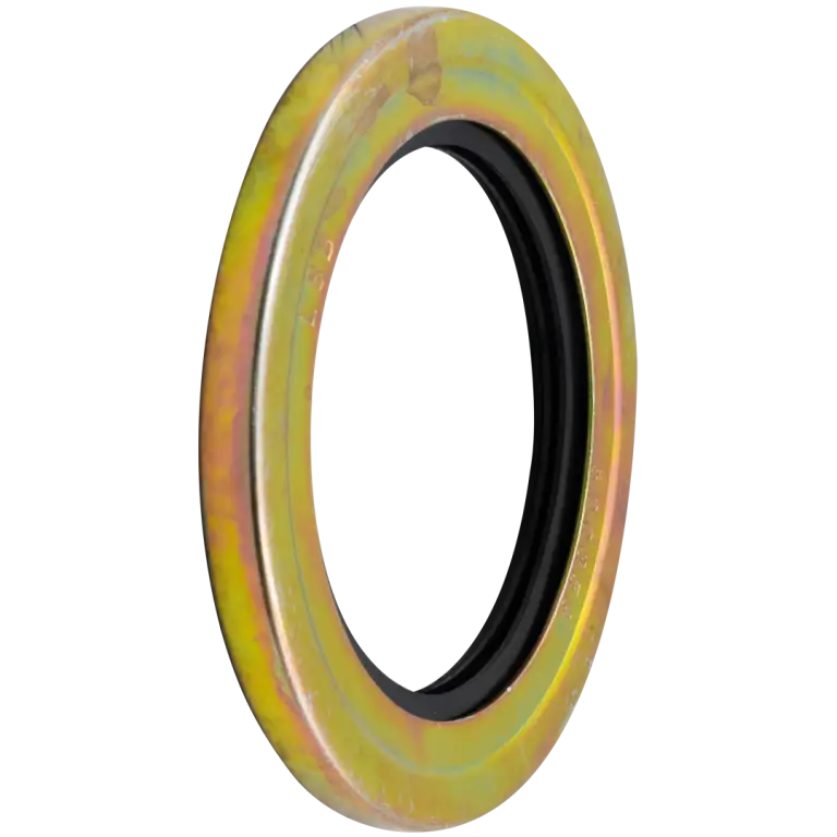 500359_LSB_2