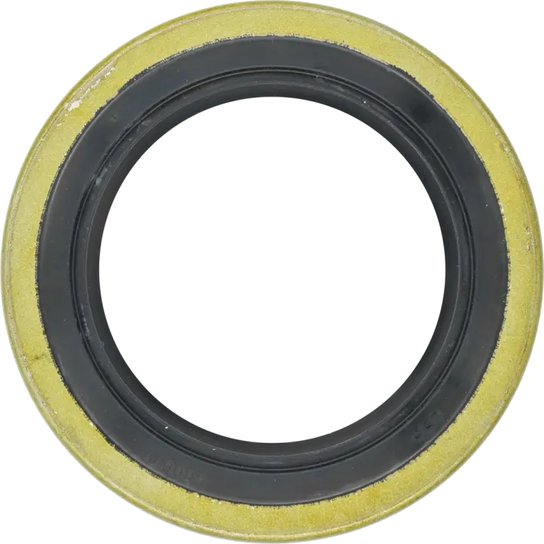 560511_LSB_3